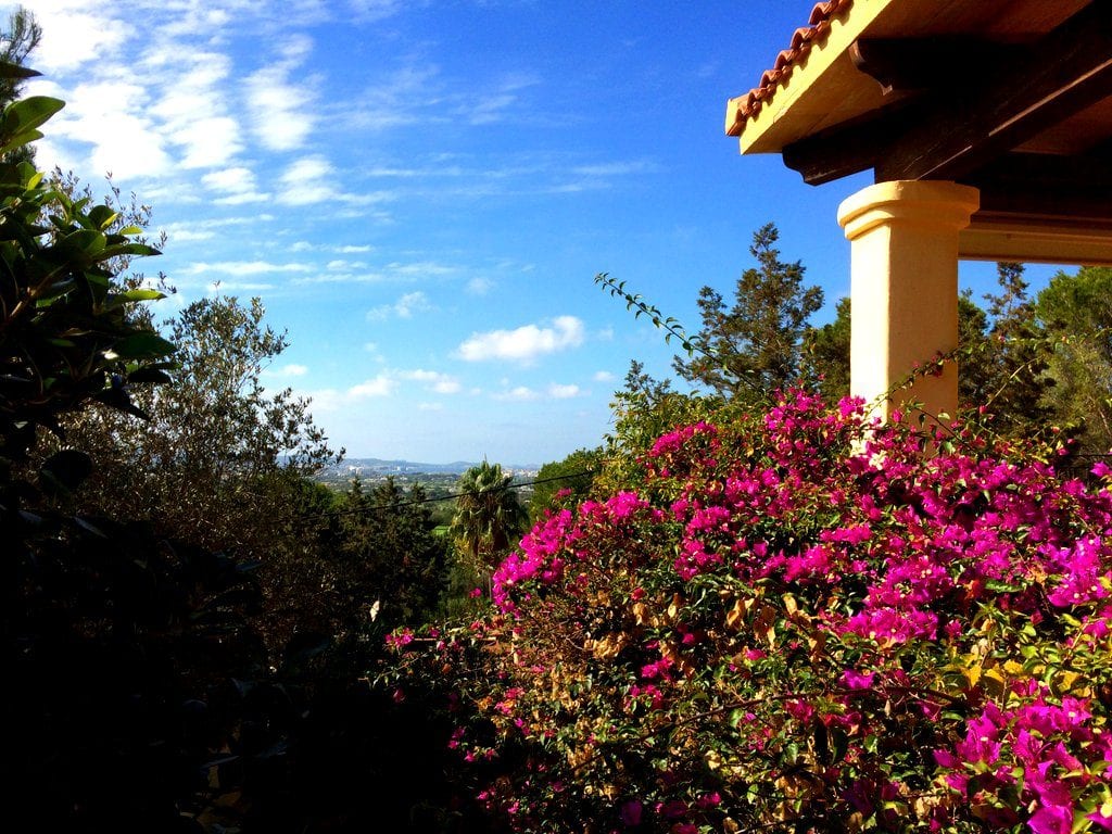 great value ibiza villas 2017