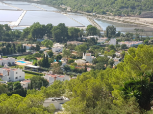 Freds Finca Hostal and Yoga Retreat - Ibiza Villas 2000