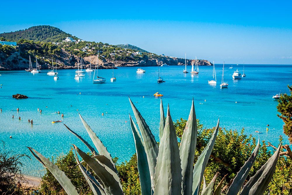 Ibiza Villas 2000 - The Accident Damage Waiver